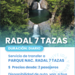 Radal 7 Tazas